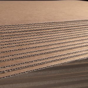 E dvigubas kraft kartonas 484gsm