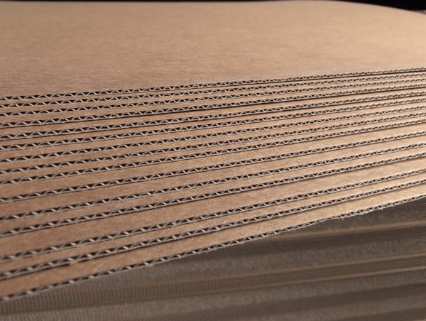 E dvigubas kraft kartonas 484gsm